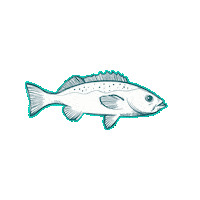 LouisianasCajunBayou louisiana bayou cajun thibodaux Sticker