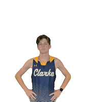 Clarke Athletics Sticker by Clarke University