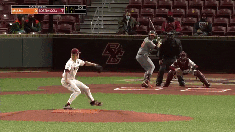 typicalbaseballfan giphygifmaker GIF