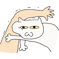 Cat Pig Sticker