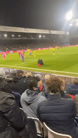 Fun for Fans as Pitch Invader Tackled at Premier League Match