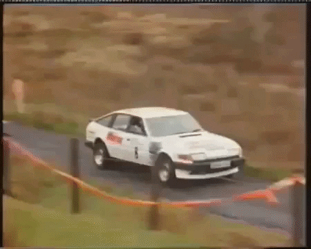 Testiercactus94 giphyupload rally skill 1984 GIF