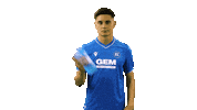 Football Sport Sticker by Karlsruher SC