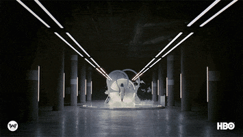 Season 4 Chamber GIF by Westworld HBO