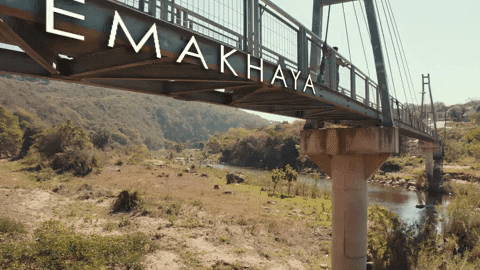 At Home Growth GIF by Sony Music Africa