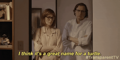 season 3 GIF by Transparent