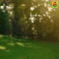 compo garden garten compo GIF