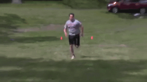 big cat kfc GIF by Barstool Sports