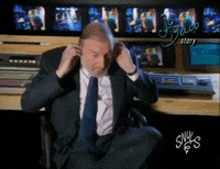 Snuls pardon quoi hein les snuls GIF