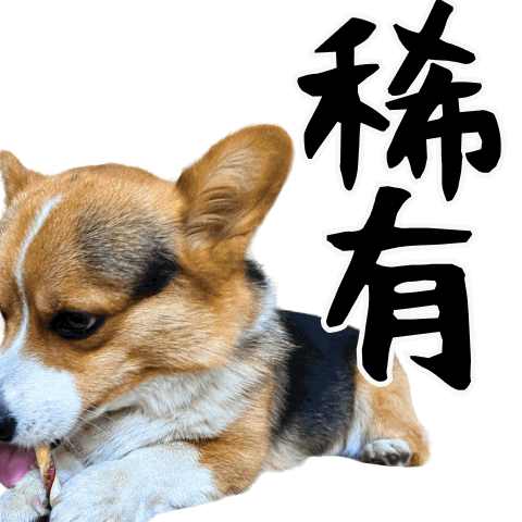 Corgi Wow Sticker