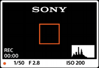 Scenescape GIF by Sony Australia