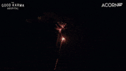 New Years Yes GIF by Acorn TV
