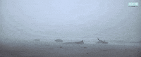 driving john wayne GIF by Turner Classic Movies