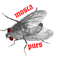 Red Eyes Fly Sticker