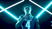 Old Dominion Sport GIF by ODU Football