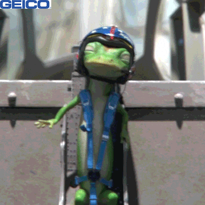 Plane Ok GIF by GEICO