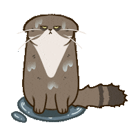 Angry Grumpy Cat Sticker