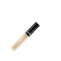 Birthday Makeup Sticker by Swiss Beauty