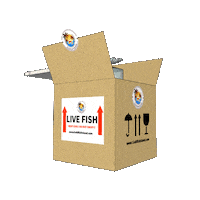 goldfishisland package goldfish goldfishisland live goldfish Sticker