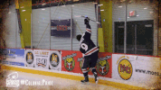 happy ice hockey GIF by Robert Morris University Athletics