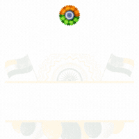 Independence Day Essay GIF by FirstCry Parenting