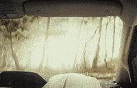 Meetle_ deadlock drifter GIF