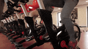 fitness cycling GIF by Standard de Liège