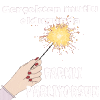 Mnks Pozitif Sticker