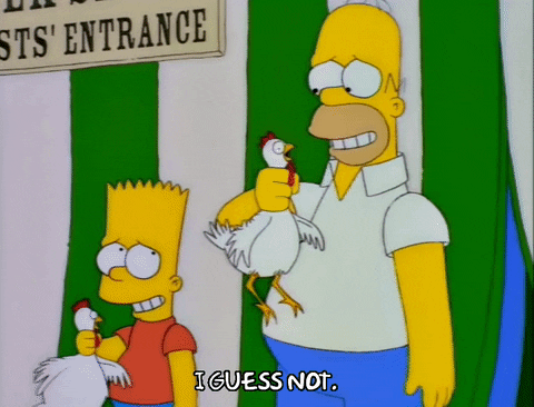 homer simpson GIF