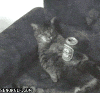 nap GIF