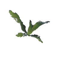 manifiestoclub alga biomaterial labva biopolimerica Sticker