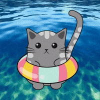 AscubaVentureCC  GIF