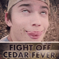 Cedar Hedglen GIF