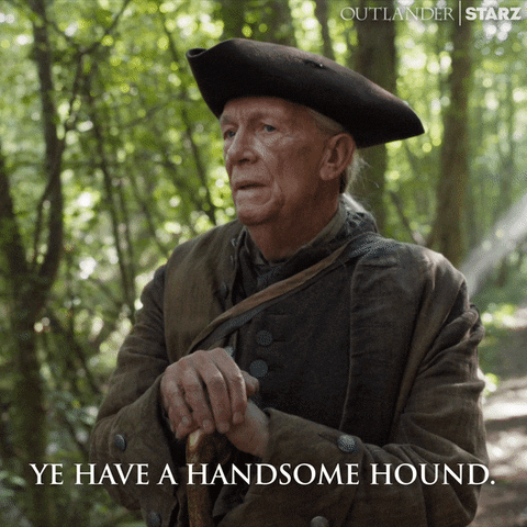 Starz Hound GIF by Outlander