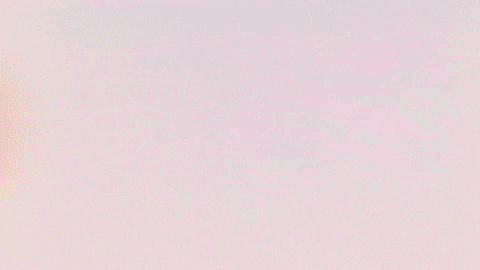 Football Sport GIF by FC Red Bull Salzburg