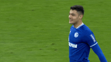 S04 Decline GIF by FC Schalke 04