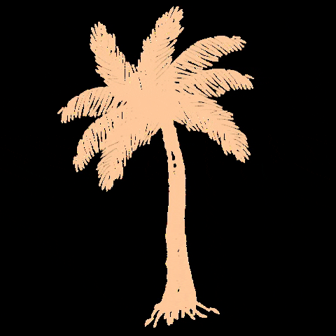 ashleyroseclothing vacation hawaii island palm GIF