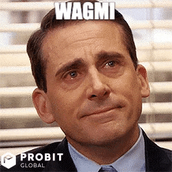 Crypto GIF by ProBit Global