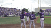 Baton Rouge Celebration GIF by LSU Tigers