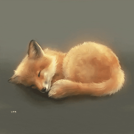 Baby Fox GIF