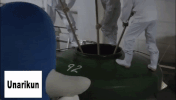 japan fly GIF