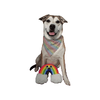 Rainbow Pride Sticker by Geekster Pets