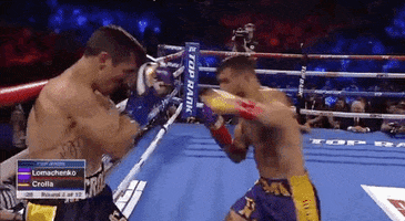 toprank fight boxing fighting champion GIF