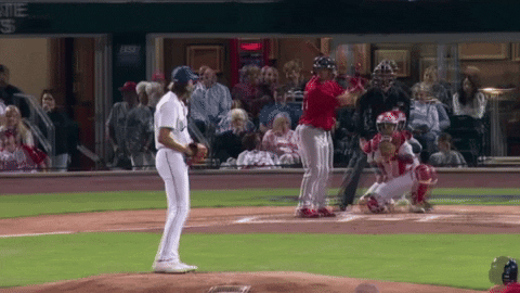 tesstass giphyupload GIF