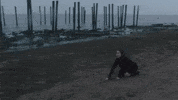 Geyser GIF by Mitski