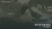bbc one GIF by BBC