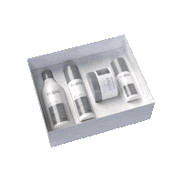 Plex Sticker by Prohall Oficial