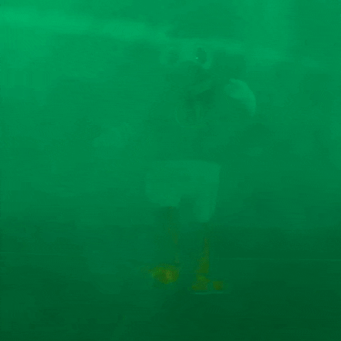 College Football GIF by GoDucks