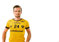 Floorball Hartman Sticker by Český florbal