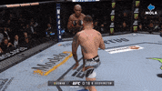 Angry Ultimate Fighting Championship GIF by MolaTV